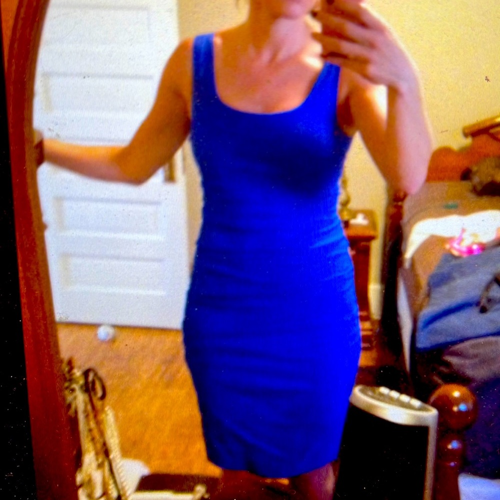 Papillon Ruched Stretch Dress with zipped back
